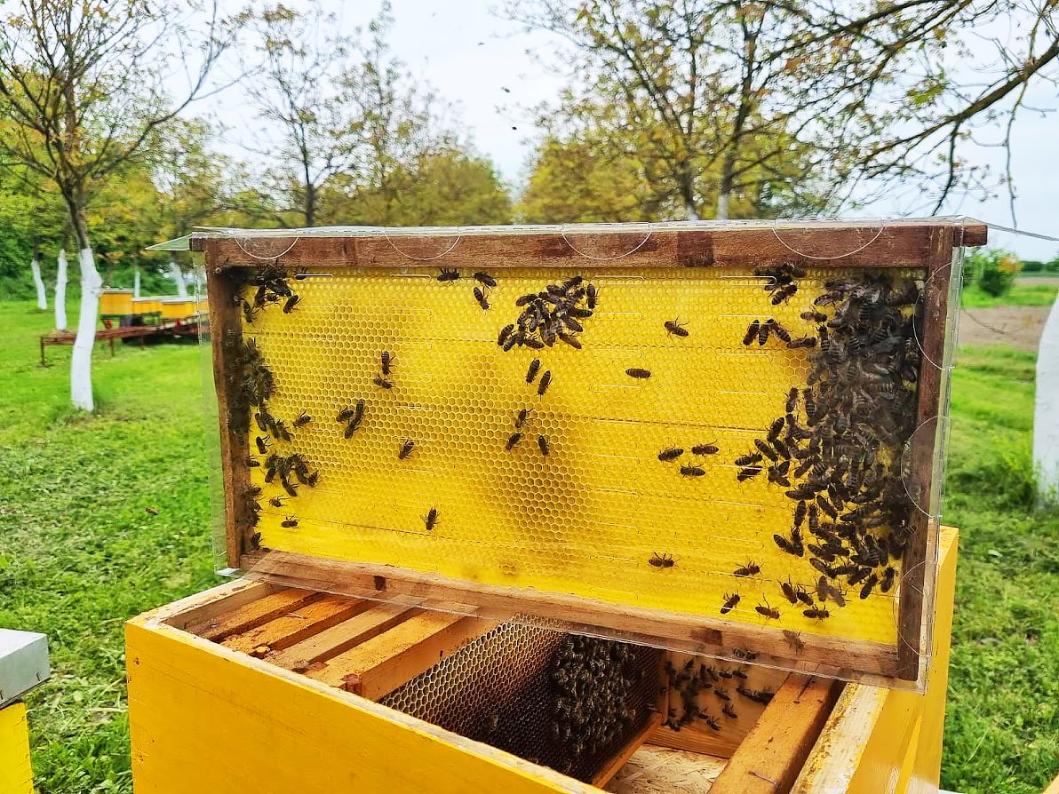 Hrvatska pčelarska služba 112